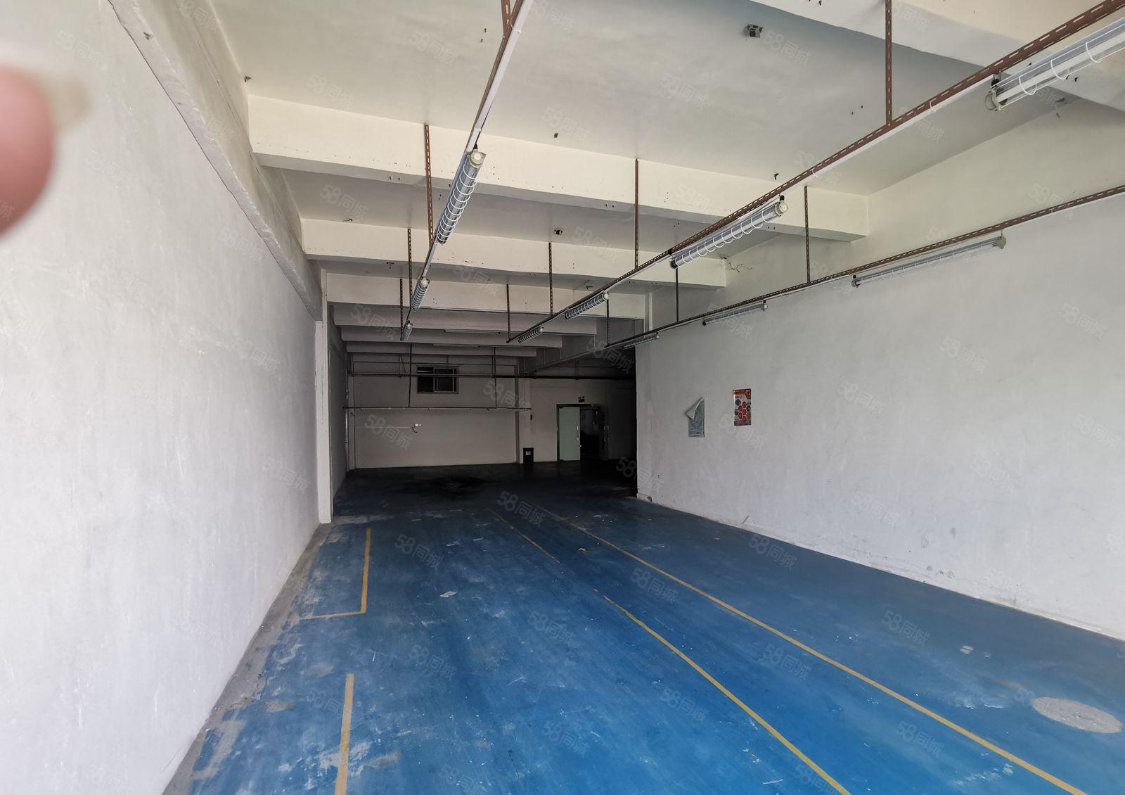 龙华观澜桂花梅关高速口原房东500平精装修厂房出租仓库出租