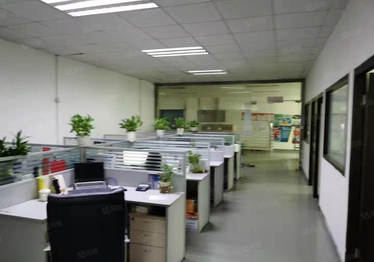 600平米带装修厂房出租