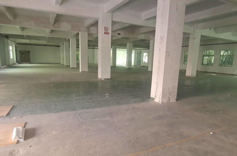 500平起租龙华观澜原房东2000平独院厂房仓库出租22元起