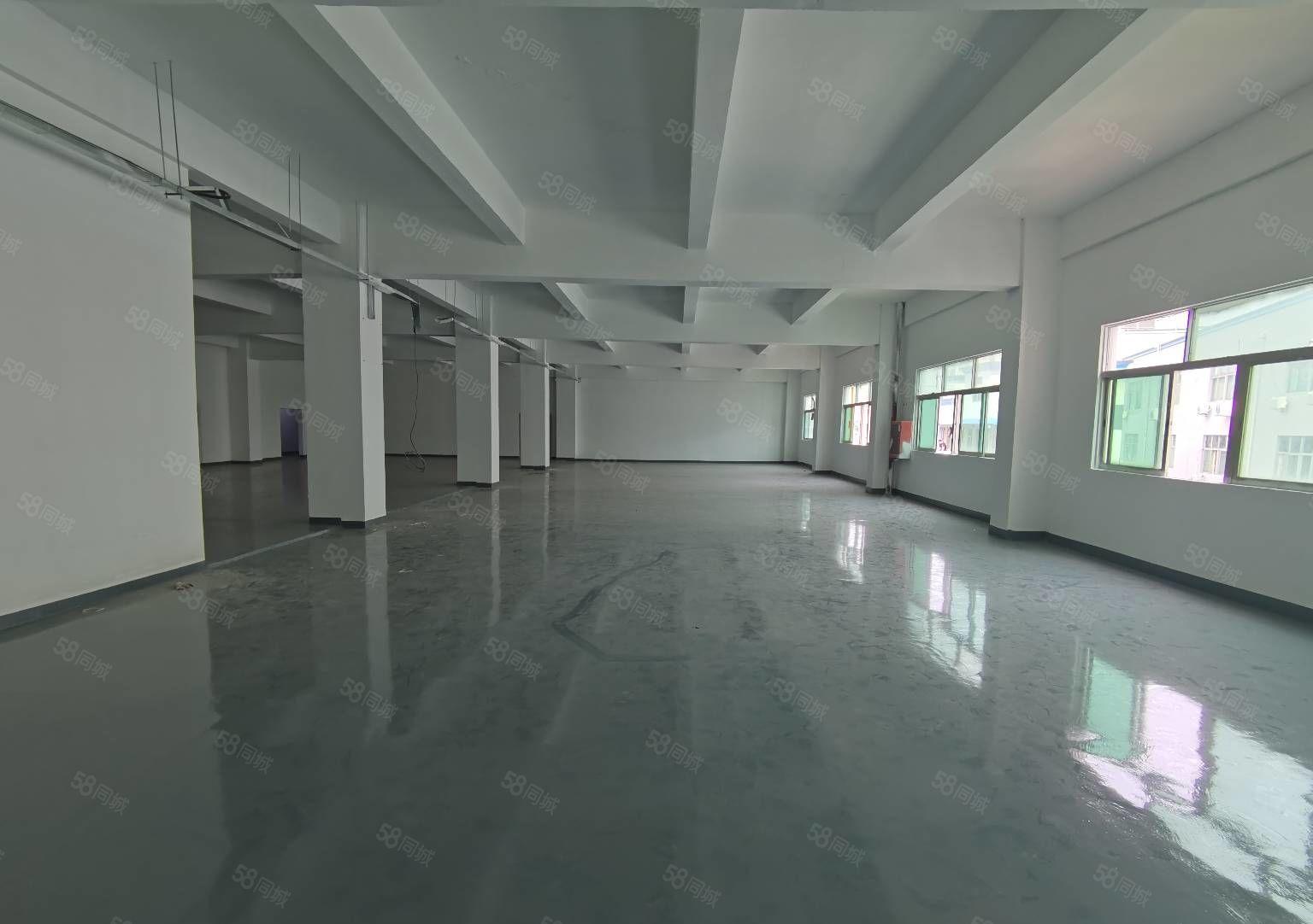 龙华油松创意园区厂房出租一楼仓库出租可分租小面积原房东红本