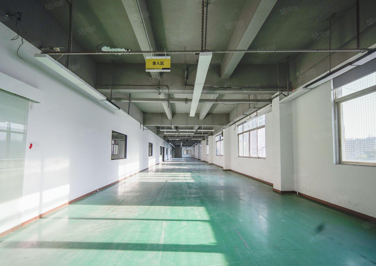 龙华汽车站左侧1000平米精装修办公厂房业主直租，易招工