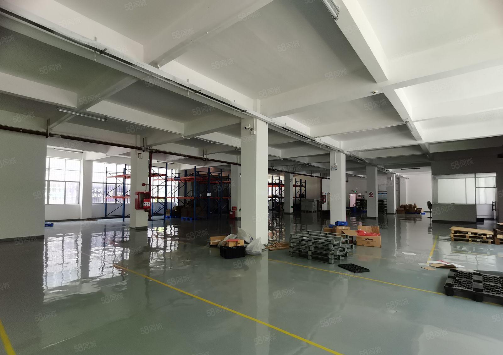 观澜大型工业园区楼上1600平，标准厂房，招租！