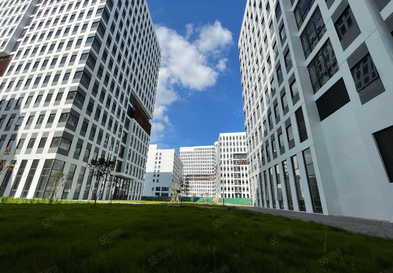 龙澜大道全新厂房，整栋面积26325平，可分租单层1789平