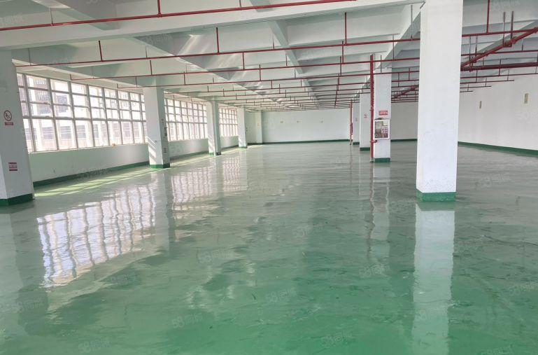 高新园区带装修红本厂房出租研发生产办公出租有补贴实际面积出租