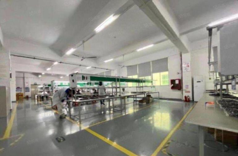 观澜桂花原房东1000平方精装修电子设备厂房低价出租大型区园