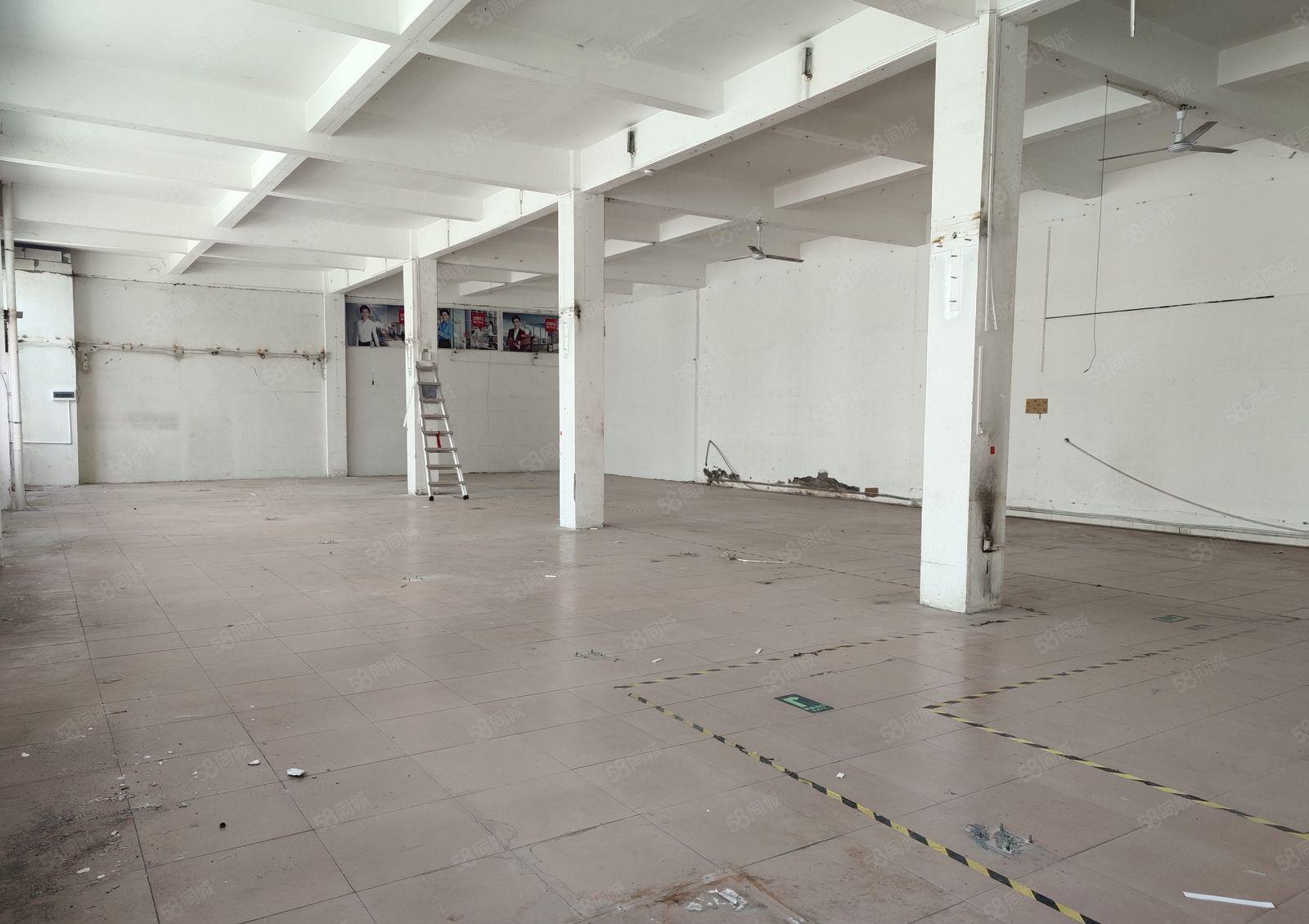 龙华大浪一楼仓库厂房出租，大型园区1000平