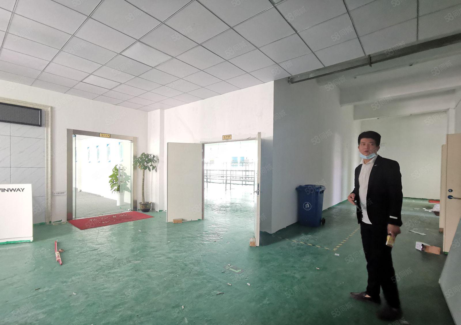 龙华大浪上横朗工业园1000平精装修办公室仓库厂房出租可分租