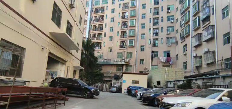 龙岗布吉丹竹头地铁口工业园1600平可分租仓库办公厂房出租