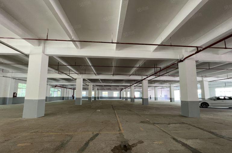 龙华原房东红本独院一楼厂房1480平方出租空地大带卸货平台