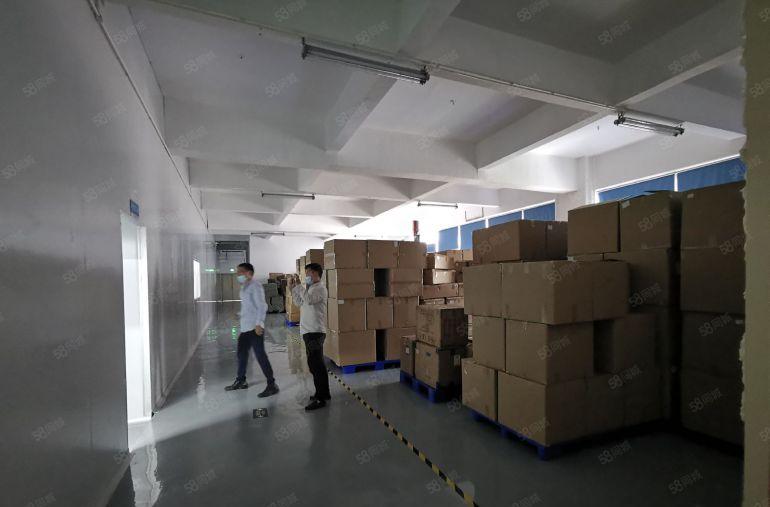 龙华大浪原房东整层1300平实际面积出租带装修一楼，水电齐全