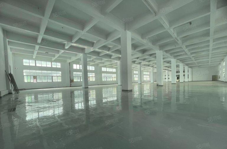 龙华元芬地铁口高新园区可定制装修1000平方米起厂房出租