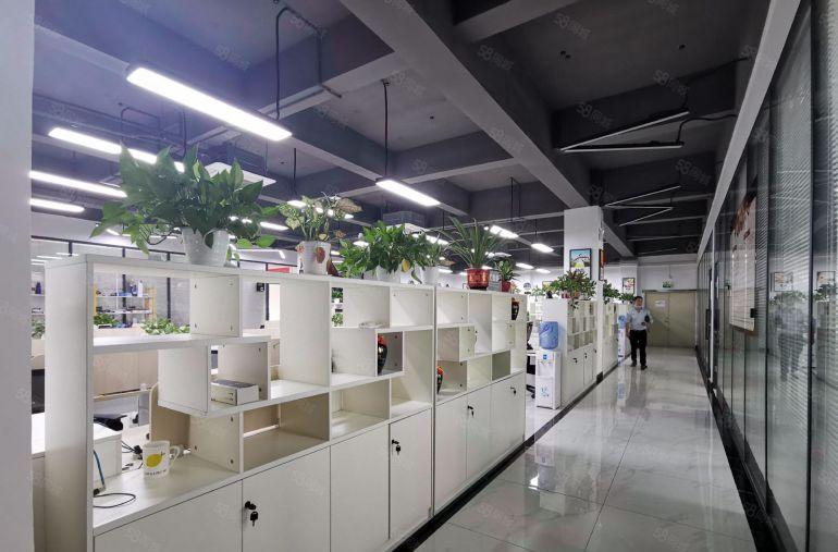 龙华大浪1000平原房东精装修红本厂房出租地铁口附近交通便利