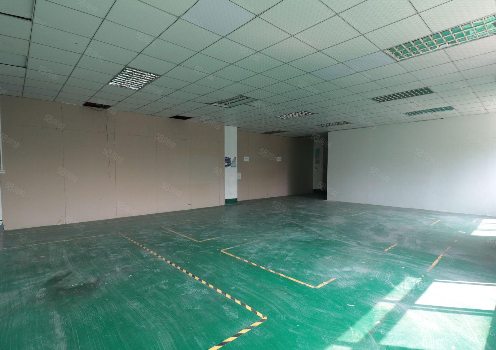 深圳龙华中心区270平米厂房办公室仓库业主直租,非中介