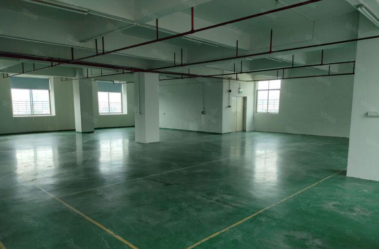 龙华浪口宝柯工业园精装修830平米厂房出租
