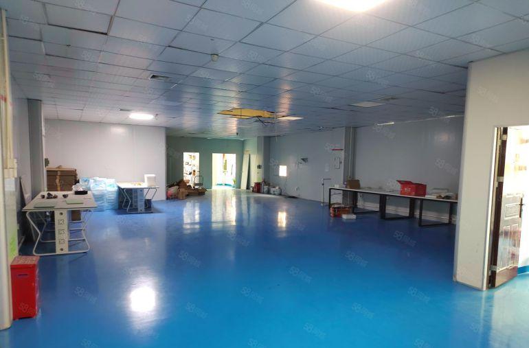 龙华天虹商场附近金典小独栋2250平米招租