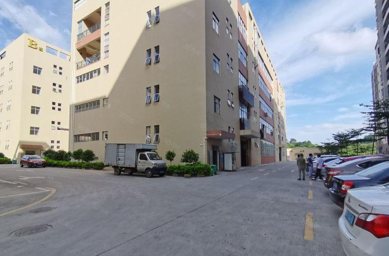 龙华大浪原房东红本园区厂房总面积2万平方带装修出租可分租