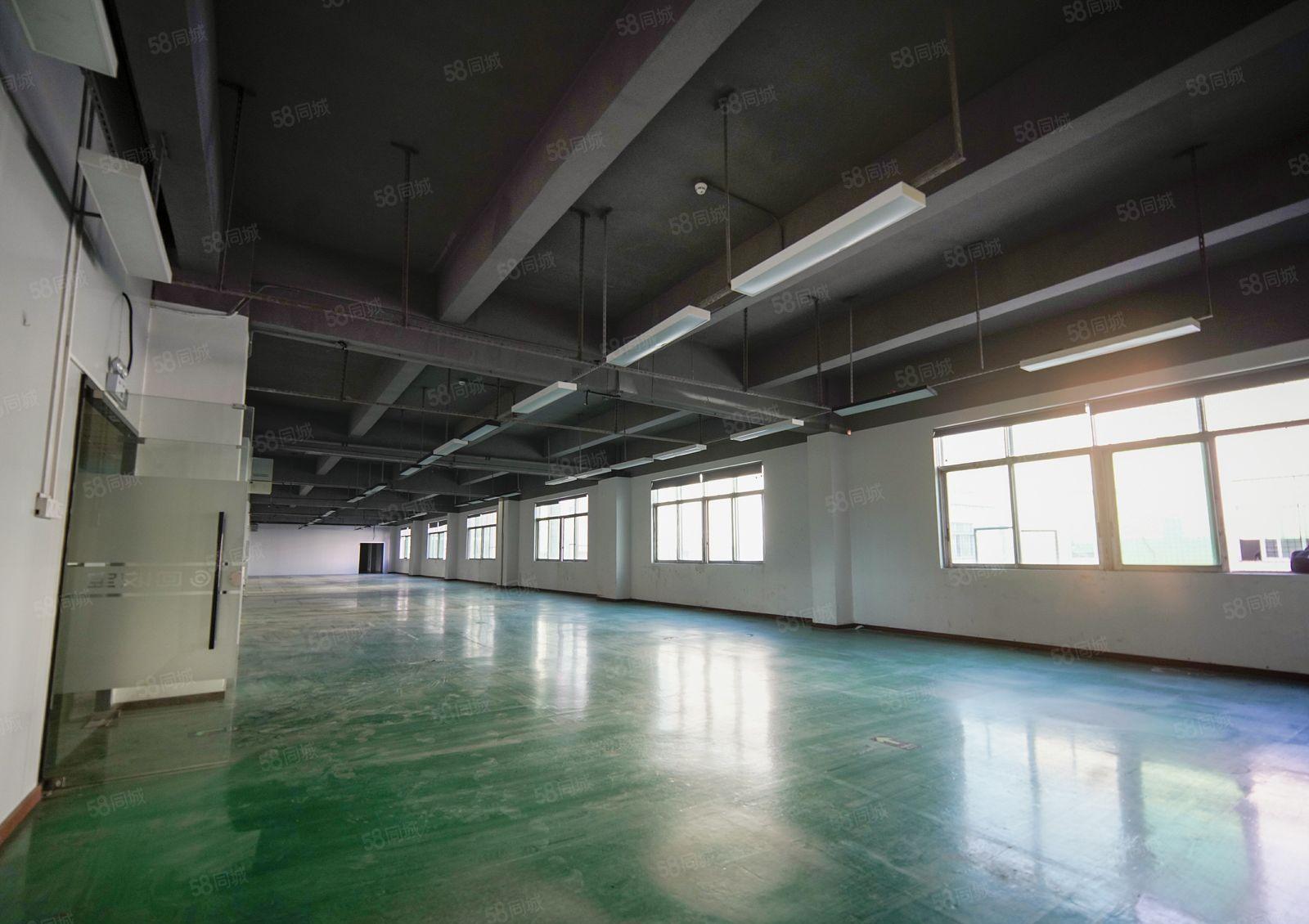 龙华汽车站左侧1000平米精装修办公厂房业主直租，易招工