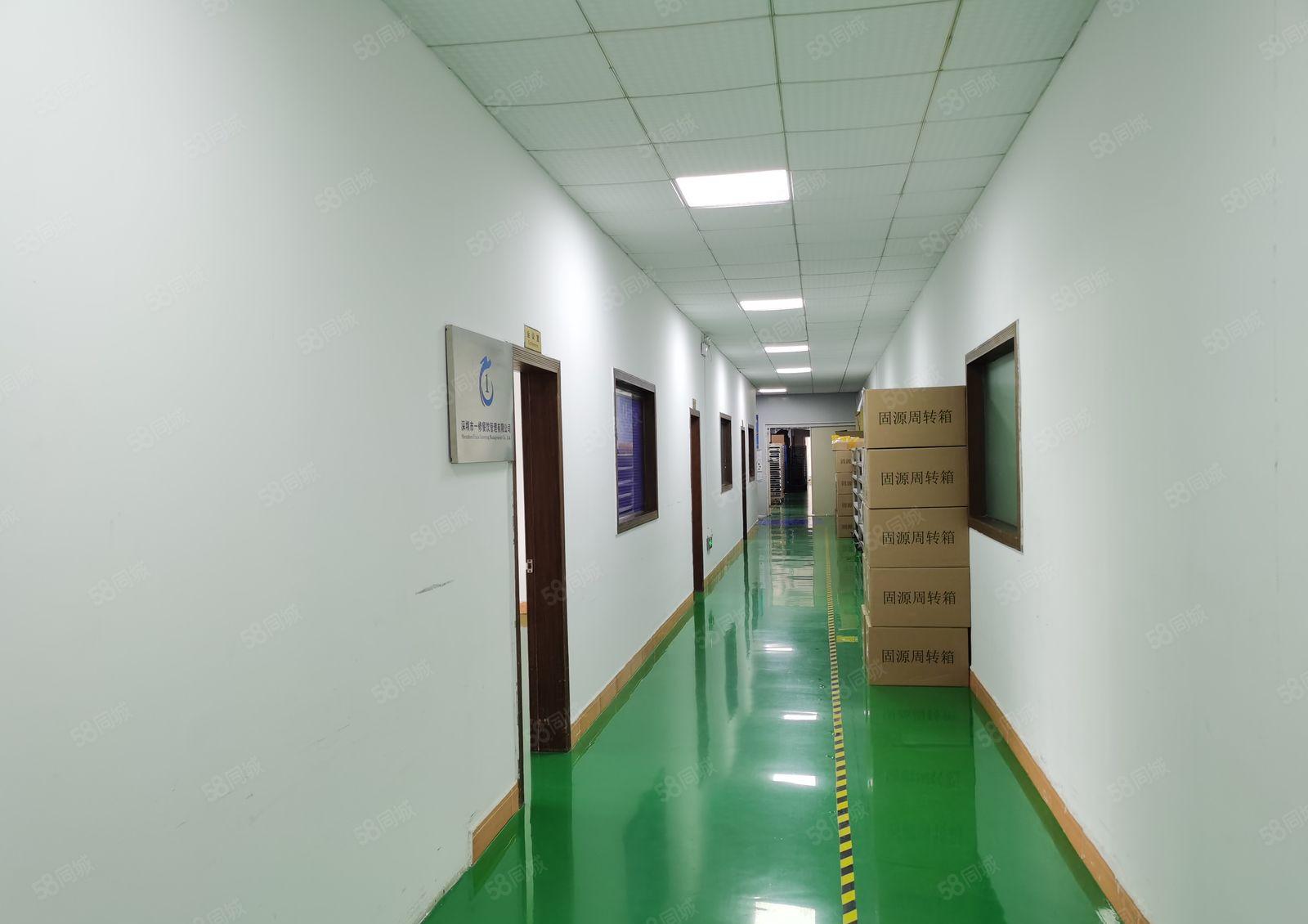 龙华区观澜街道新出原房东6楼1650平方，带无尘车间厂房出租