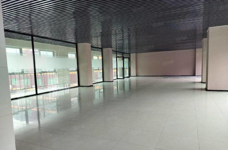 500平起分租深圳北全新红本小独栋4500平共4层有房租补贴