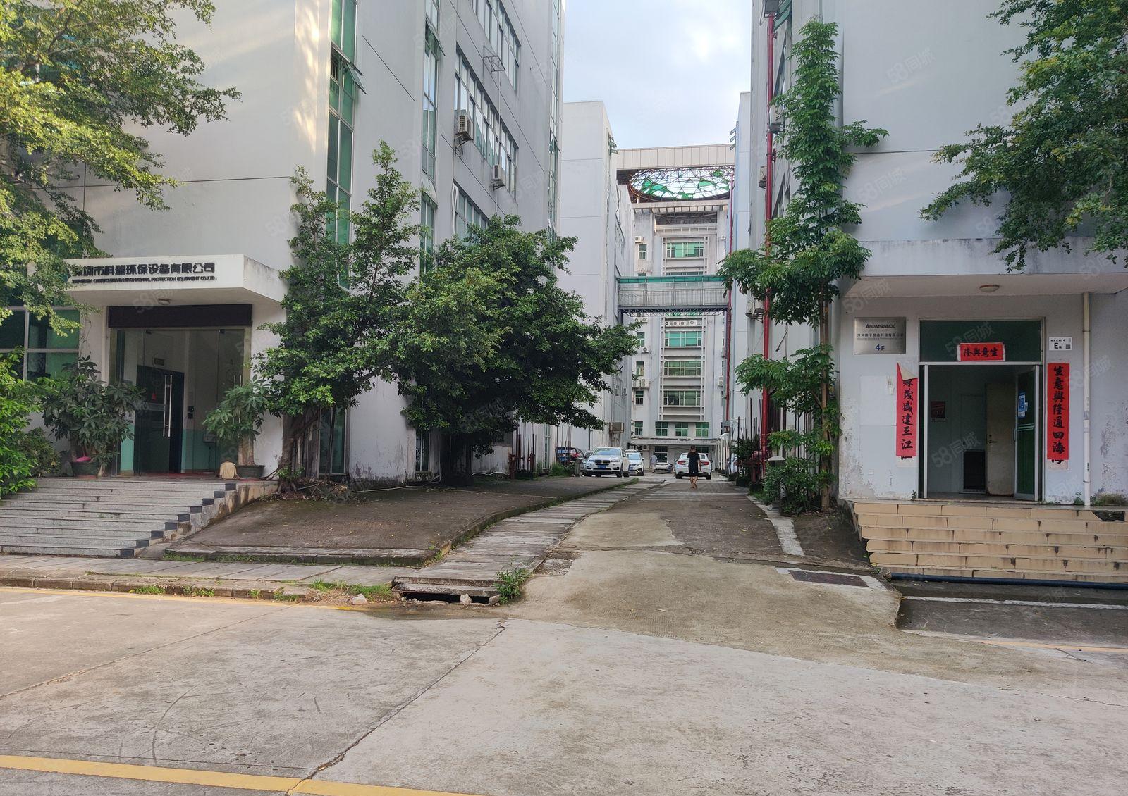 龙华油松原房东一楼1000平厂房出租，500可分租 可办环评