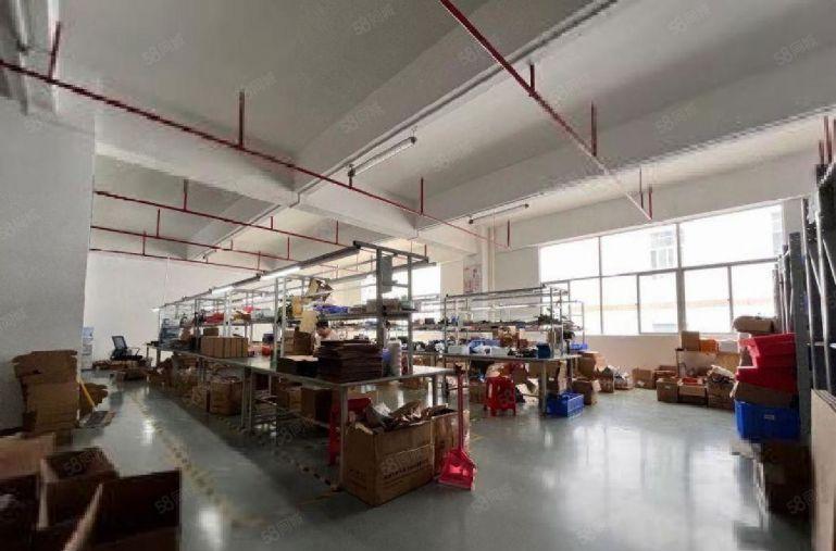 龙华大浪原房东精装750平厂房出租现成办公室装修可生产可仓库