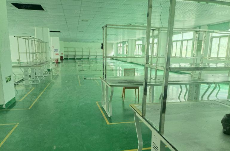 大浪龙大高速旁新出独栋6000平，单层1500平可分租空地大