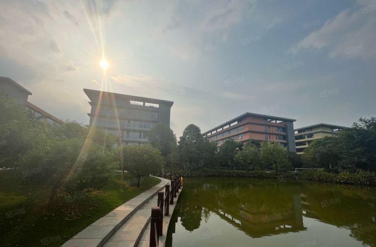 龙华民治 独门独院8000平研发办公厂房出租500起租