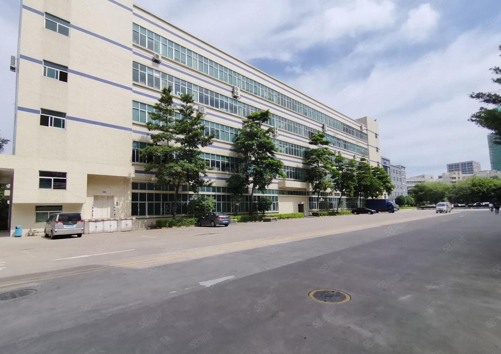 观澜樟坑径工业区原房东红本5000平红本精装厂房仓库出租