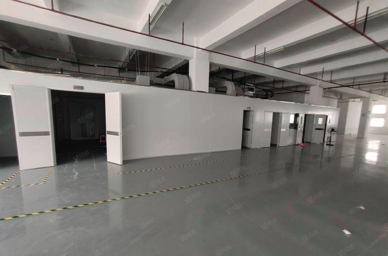 大浪商业中心! 无尘车间1500平厂房出租 工业园