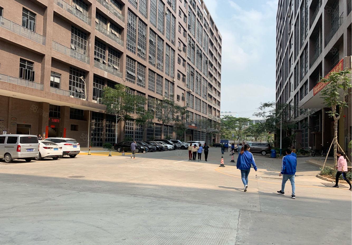 带环评（红本30000平方）厂房直租大小可分