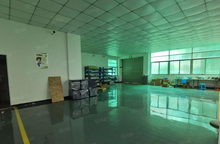 1100平精装标准厂房，龙华地铁附近，原房东直租，9成使用率
