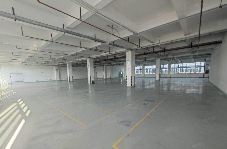 21元起租龙华地铁口工业区新出一楼二楼2150平厂房出租分租
