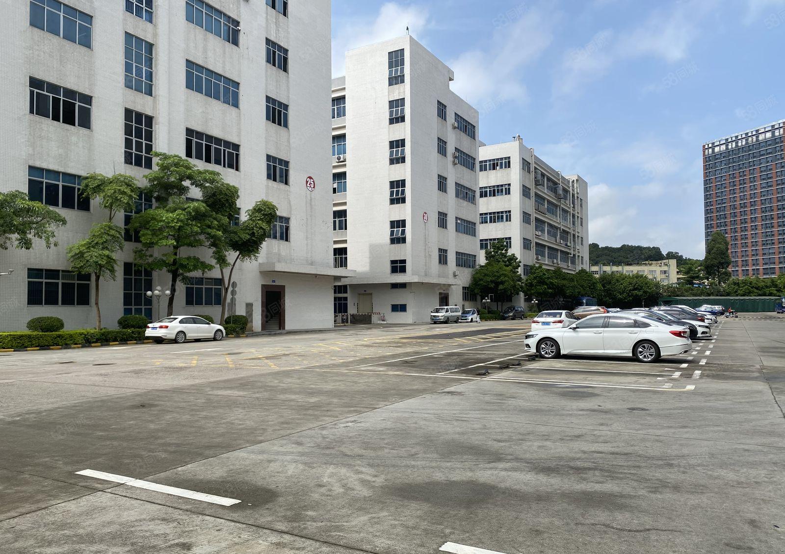 龙华清湖原房东实际面积出租12000平厂房出租可以分租精装修