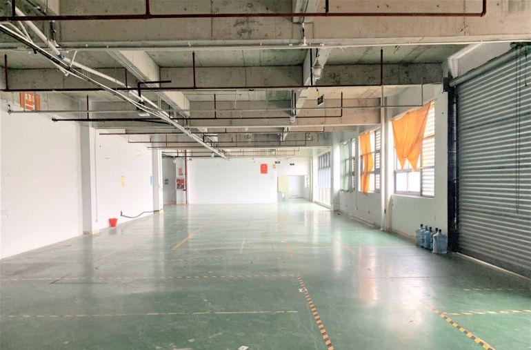 龙华大浪红本厂房1600平带精装修办公室仓库出租可分租易招工