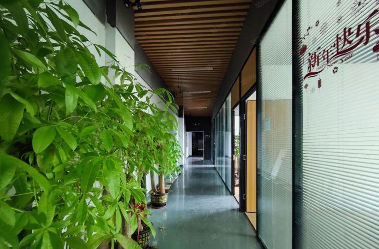 观澜带装修厂房出租650平方 20元使用率高