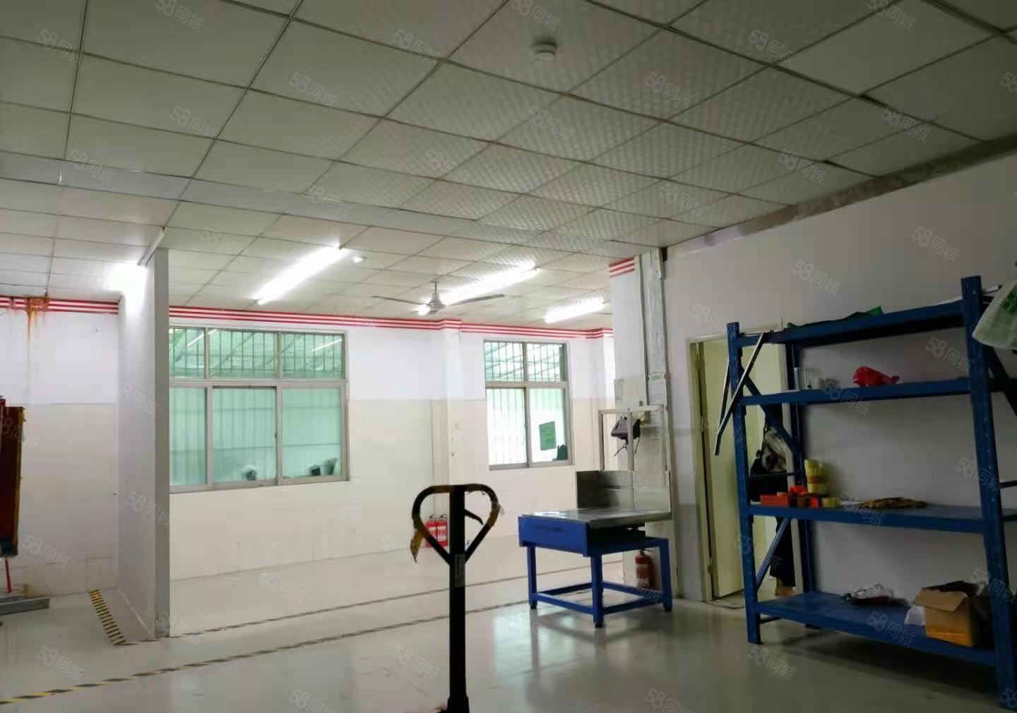 龙华大浪商业中心附近一楼150平小面积仓库出租