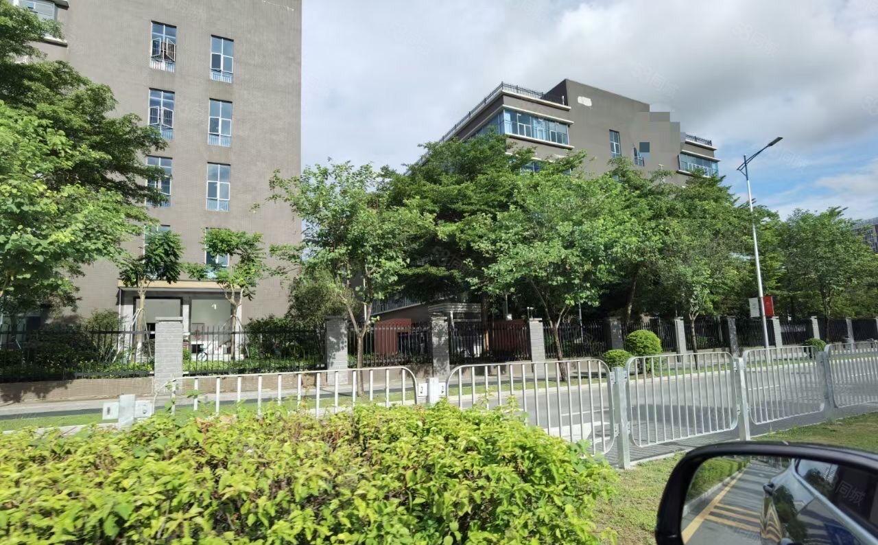 樟坑径紧挨板田，原房东花园式厂房，带两部三吨电梯，科技园里面