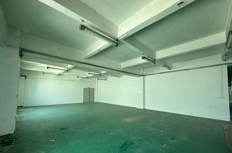 可免租3个月龙华观澜厂房出租1000平起带装修租金19.9圆