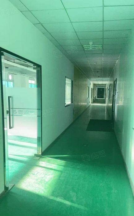 龙华清湖高速口700平米精装修厂房业主直租，可做办公小加工