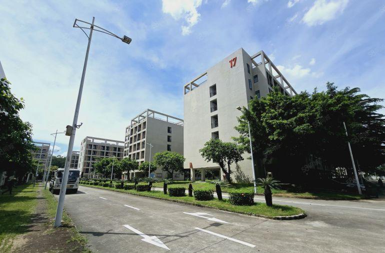 龙华大浪原房东精装修写字楼厂房出租1000平方至3000平方