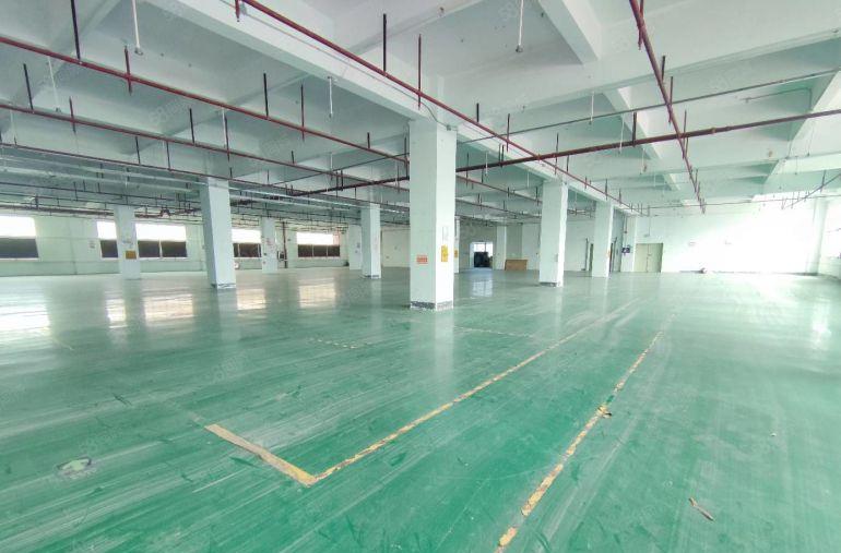 观澜观光路边厂房出租2800平 20元厂房还可谈