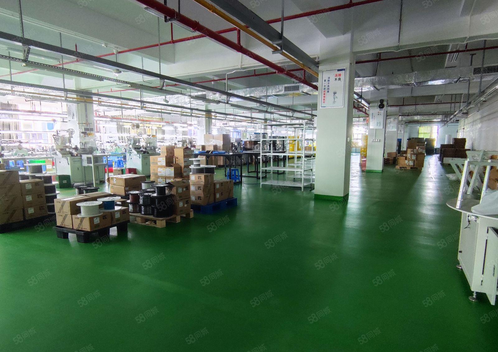 花园式厂房 精装修整层厂房出租3300平方 免转让费