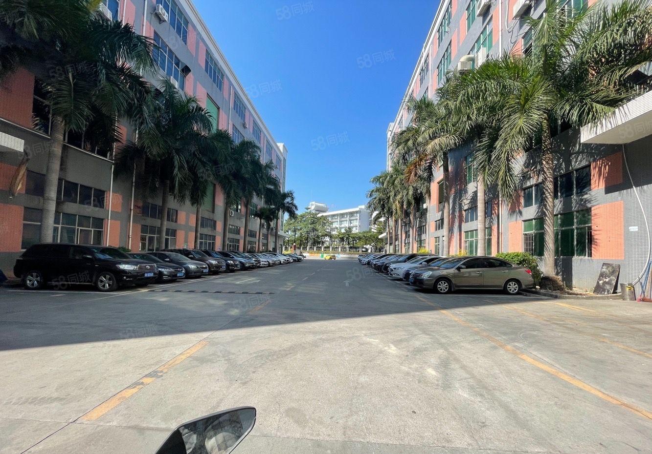 龙华大浪工业园一楼小面积厂房仓库低价出租空地大好进车