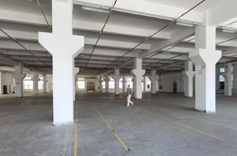 龙华清湖北地铁口新出一楼2000平层高6米带牛角厂房出租