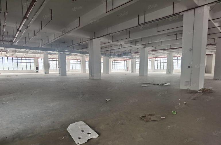 低价！观澜章阁12万平方红本工业研发办公厂房出租500平起分