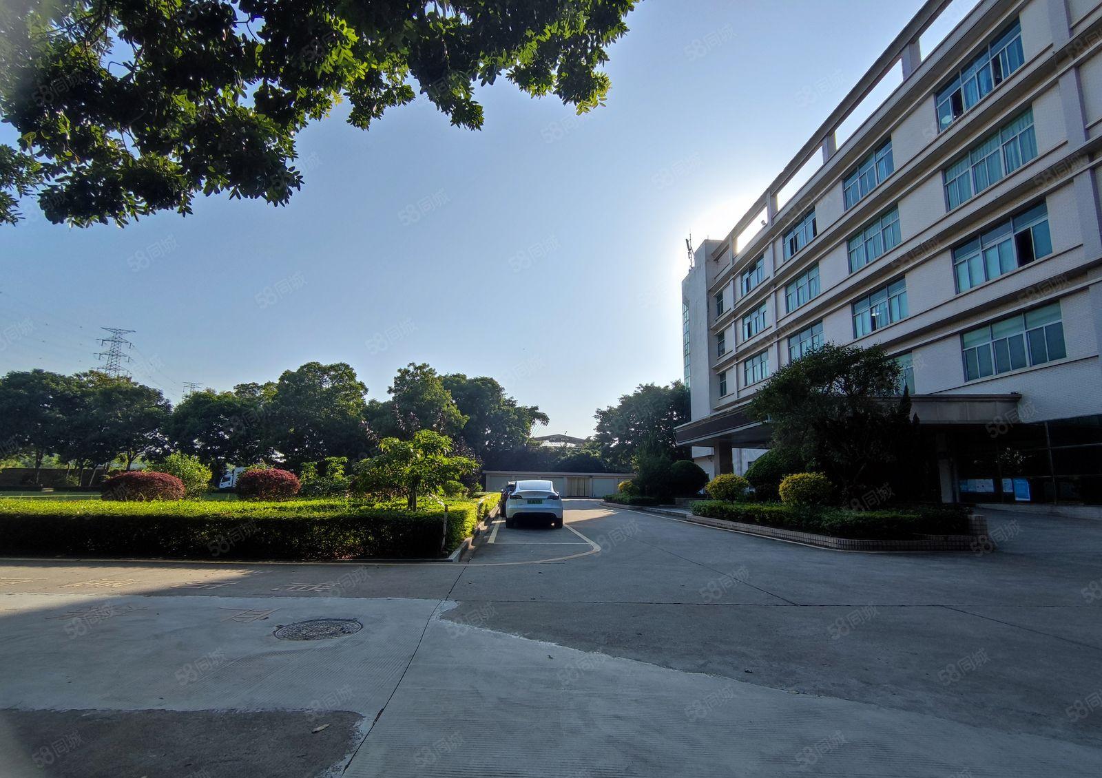 花园式厂房 精装修整层厂房出租3300平方 免转让费