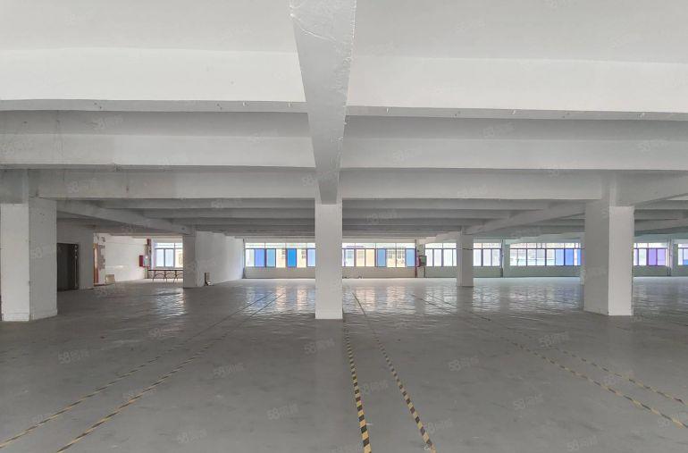 观澜大和工业区原房东6000平方红本厂房仓库出租可分租