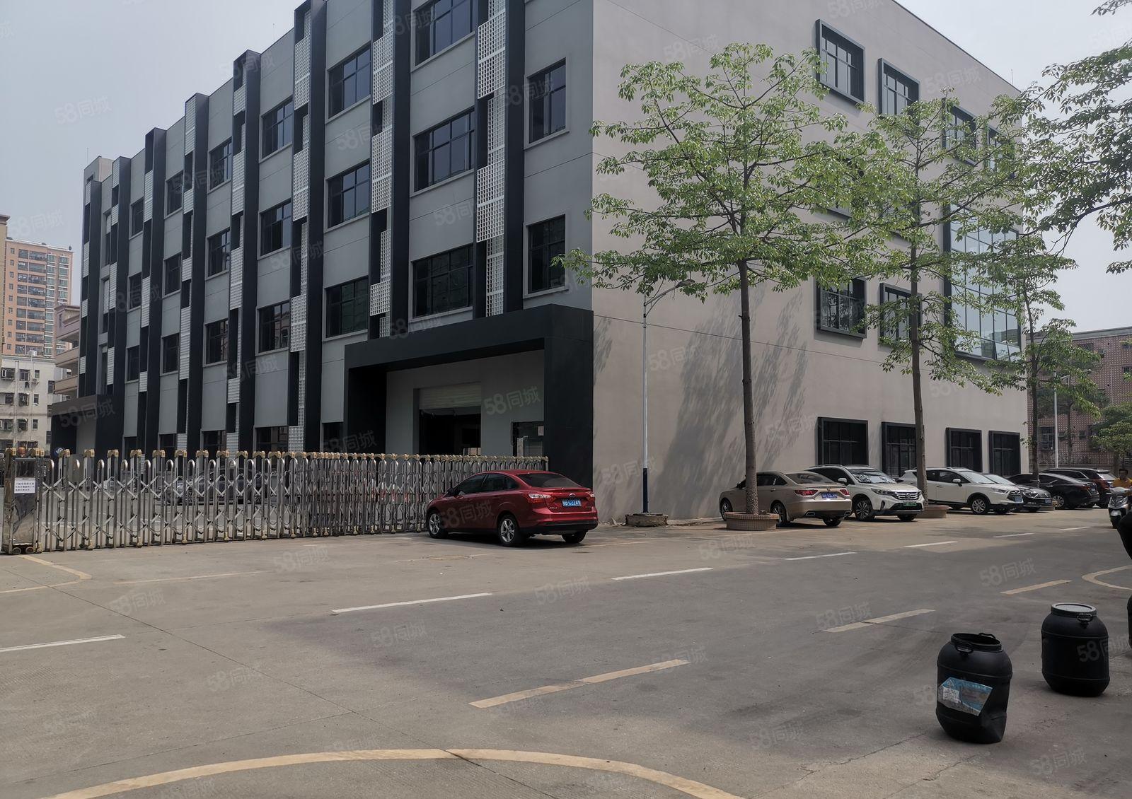 光明长圳独门独院工业园6500平厂房出租可分租带精装修办公室