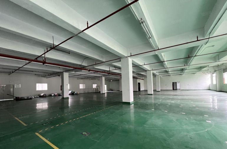 龙华大浪原房东一楼1500平厂房出租带消防喷淋地坪漆配套成熟