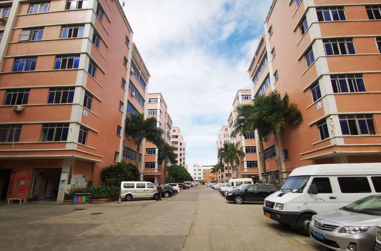 特价18元龙华大浪原房东1000平精装修红本厂房出租分租